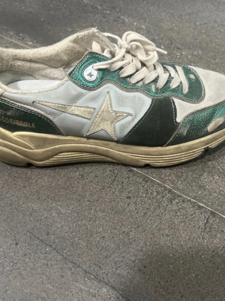 Golden Goose